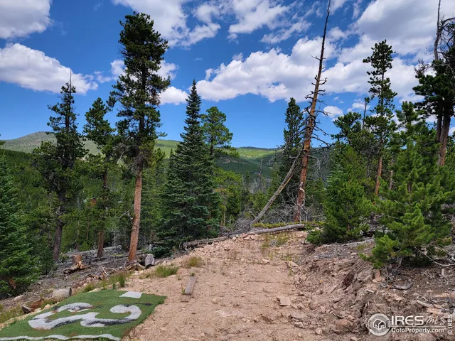 $95,000 | 50 Carrier Way, Red Feather Lakes, CO 80545