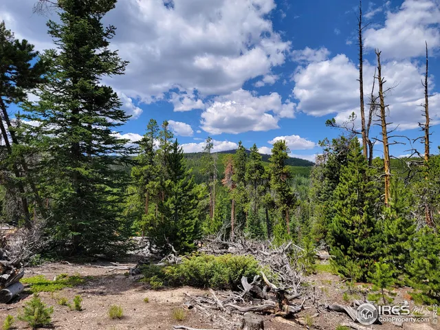 $95,000 | 50 Carrier Way, Red Feather Lakes, CO 80545