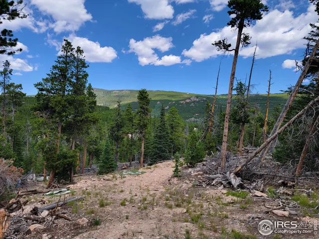 $95,000 | 50 Carrier Way, Red Feather Lakes, CO 80545