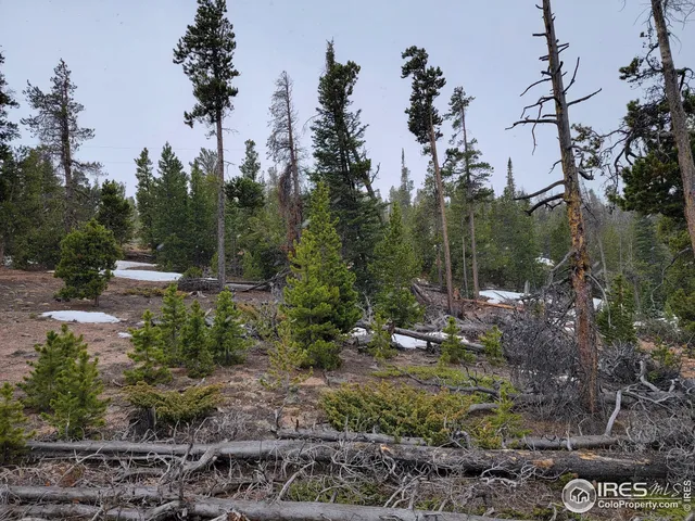 $95,000 | 50 Carrier Way, Red Feather Lakes, CO 80545