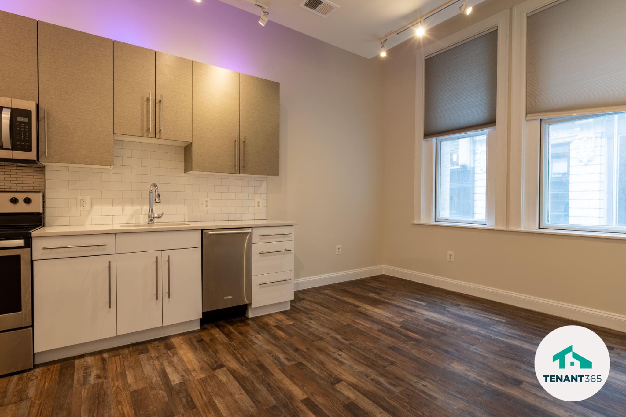 8 East Fayette Street, Unit 201 Baltimore, MD 21202 - Photo 10 of 14 Modern eat-in kitchen with large windows