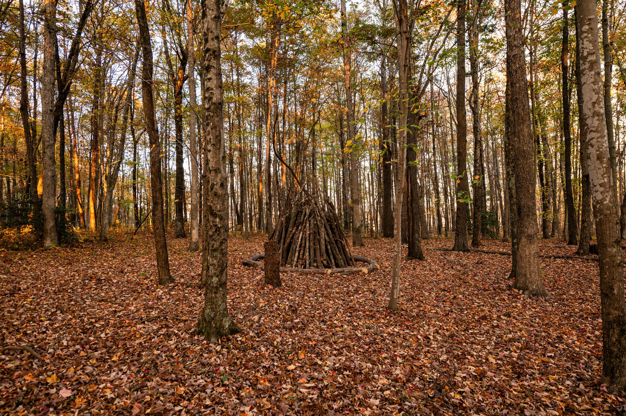 2272 Little Bend Road Signal Mountain, TN 37377 - Photo 13 of 16 13