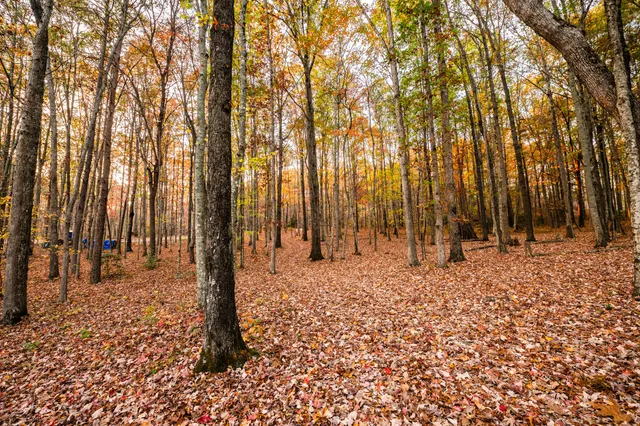 $375,000 | 2272 Little Bend Road, Signal Mountain, TN 37377