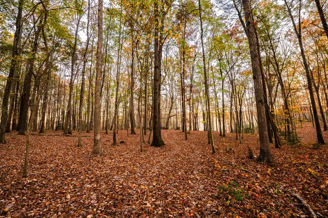 $375,000 | 2272 Little Bend Road, Signal Mountain, TN 37377