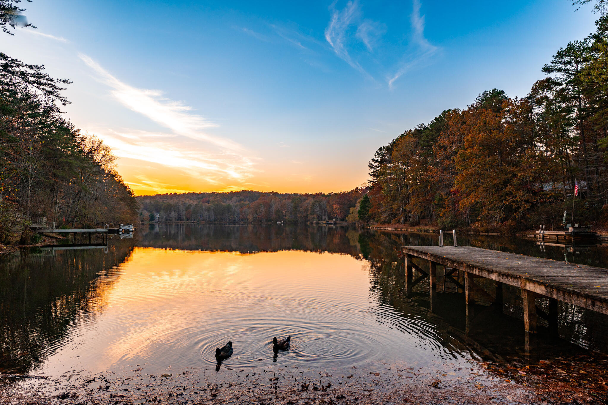 2272 Little Bend Road Signal Mountain, TN 37377 - Photo 4 of 16 4