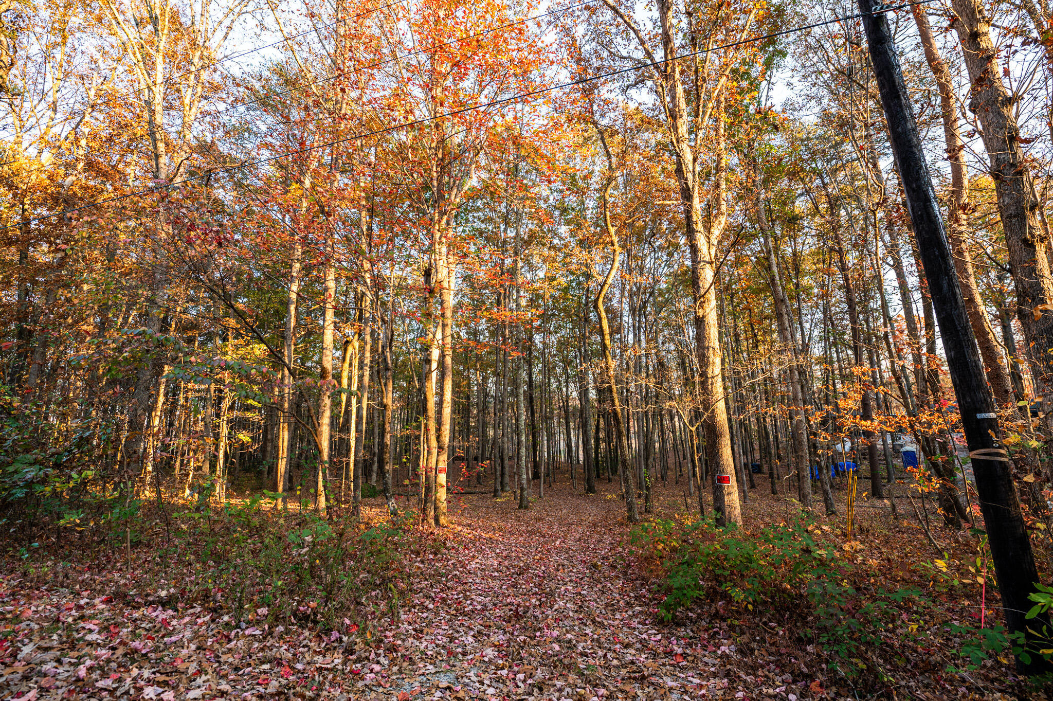 2272 Little Bend Road Signal Mountain, TN 37377 - Photo 6 of 16 6