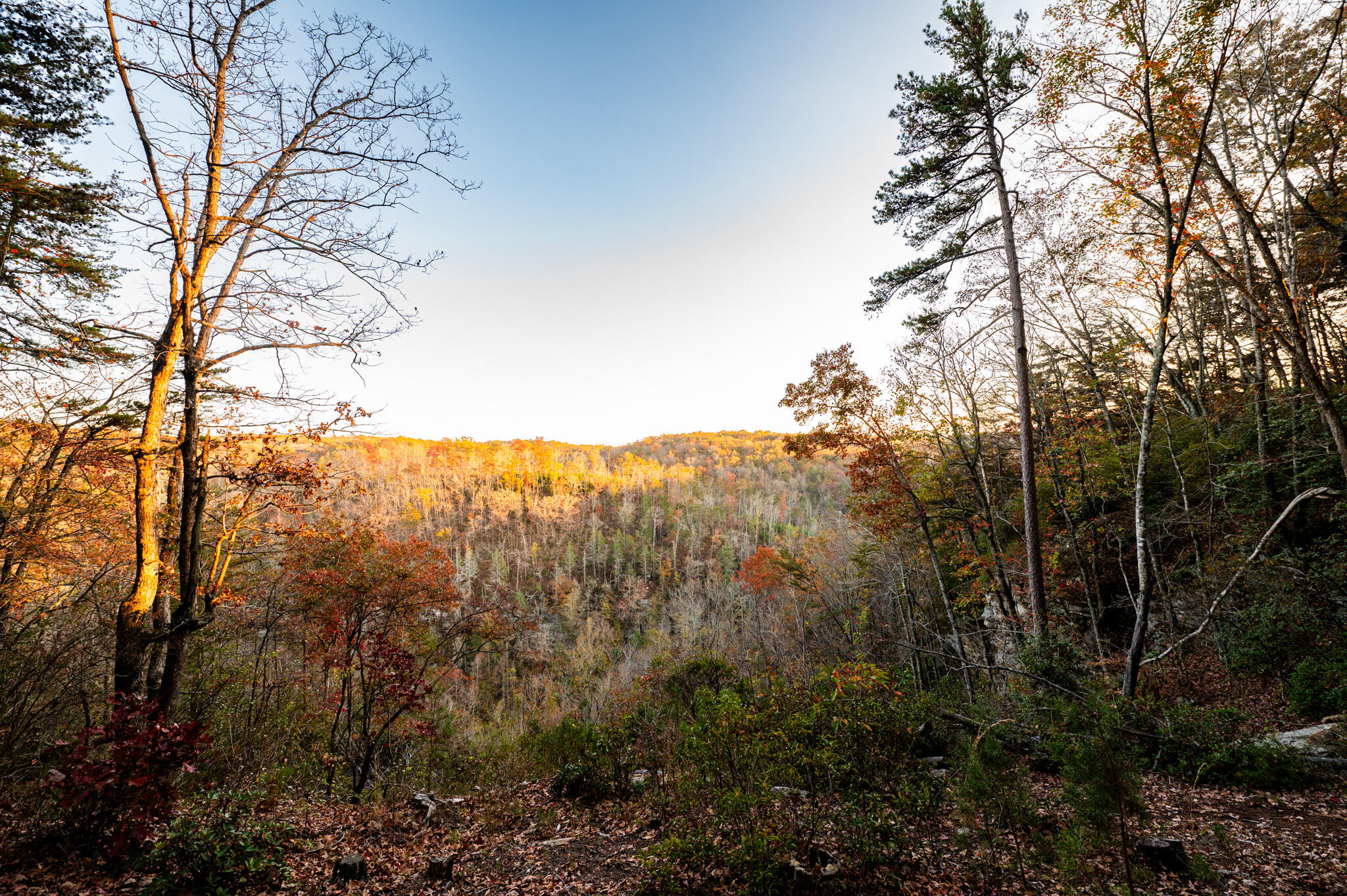 2272 Little Bend Road Signal Mountain, TN 37377 - Photo 9 of 16 9