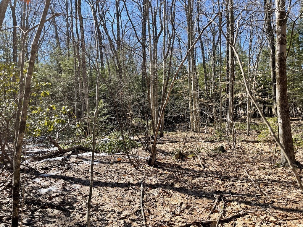 92 Crooked Ledge Road Southampton, MA 01073 - Photo 6 of 7 Gallery Image 6