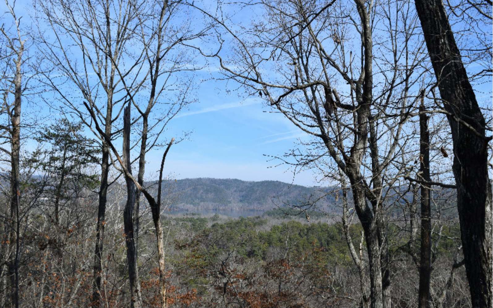 36 Onyx Circle Ranger, GA 30734 - Photo 3 of 7 Additional View
