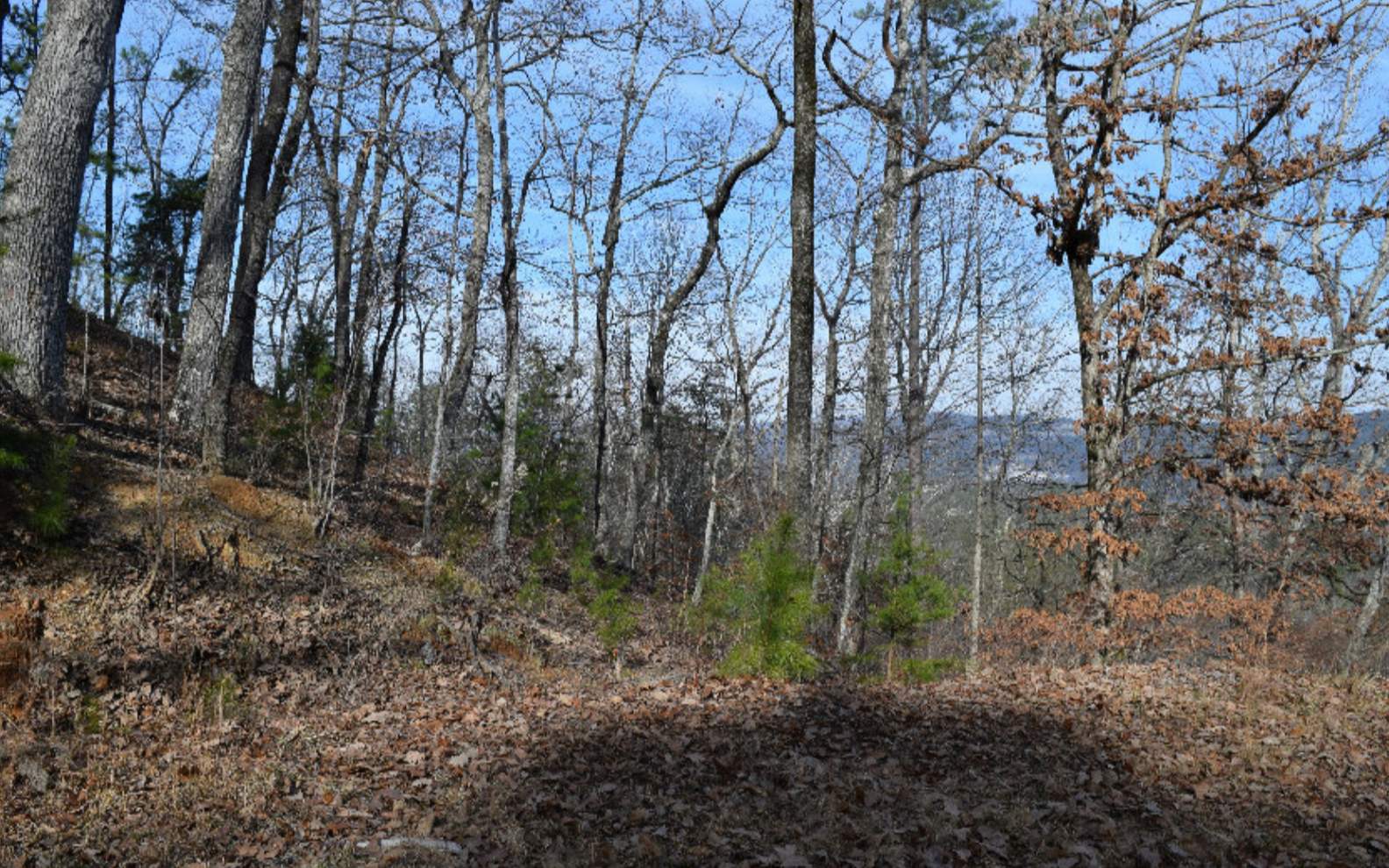 36 Onyx Circle Ranger, GA 30734 - Photo 4 of 7 Additional View
