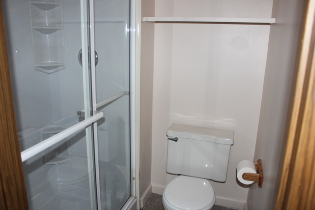 704 Wakefield Road Gurnee, IL 60031 - Photo 11 of 20 a bathroom with a toilet and a shower