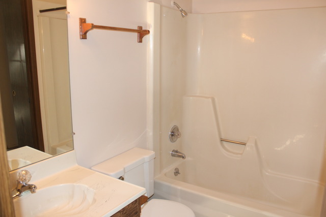 704 Wakefield Road Gurnee, IL 60031 - Photo 14 of 20 a bathroom with a bathtub and a shower
