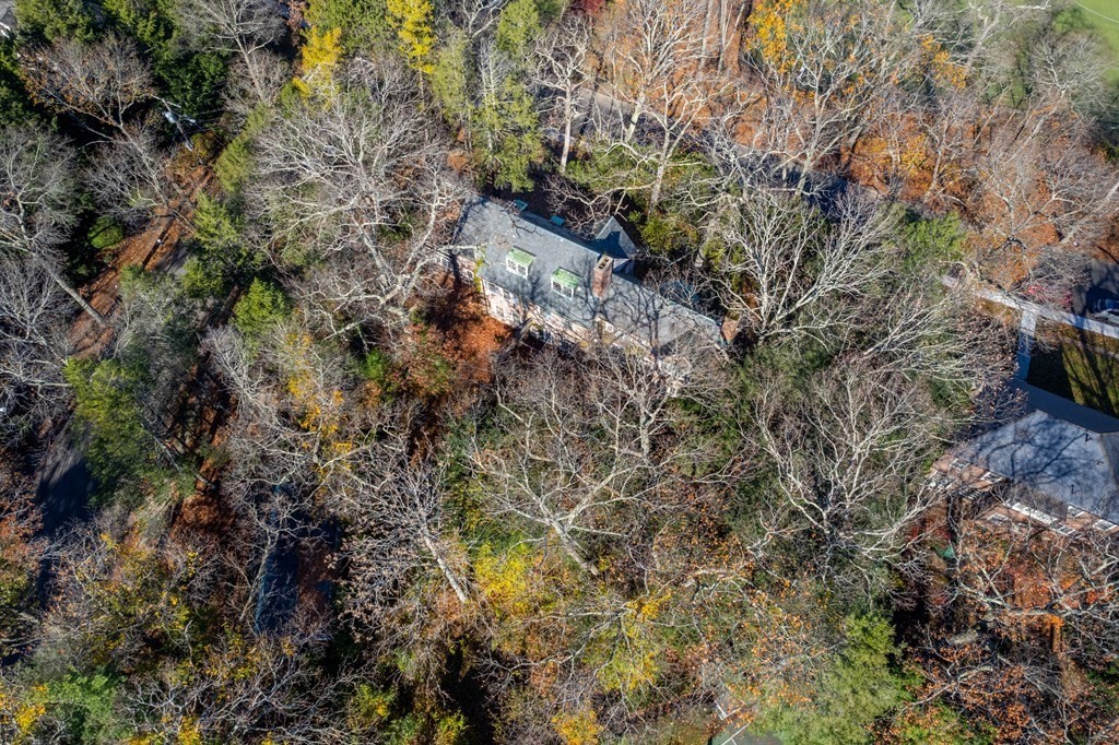 320 Woodland Road Brookline, MA 02467 - Photo 10 of 19 Gallery Image 10