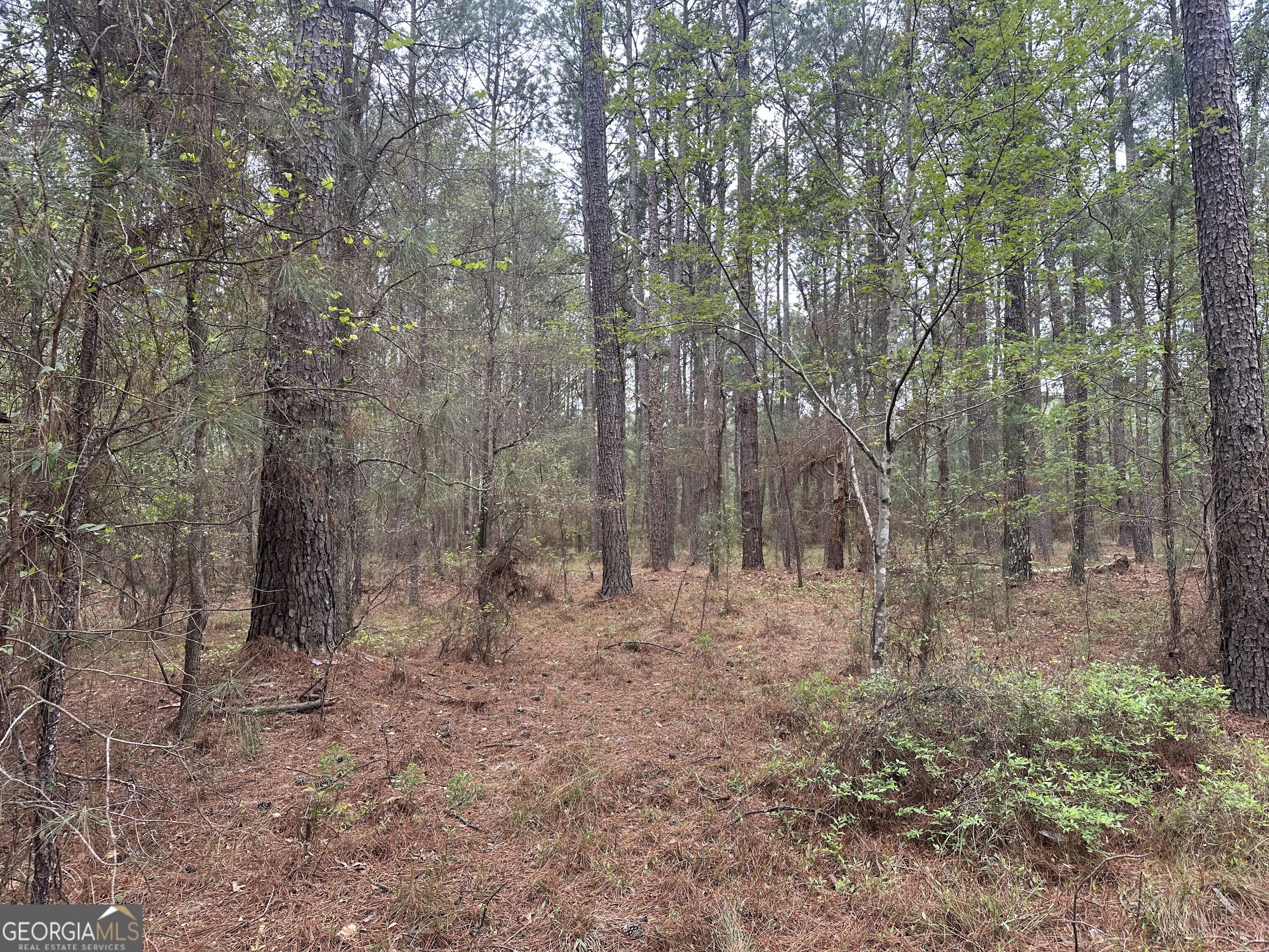 0 Fred Chance Road Millen, GA 30442 - Photo 9 of 19