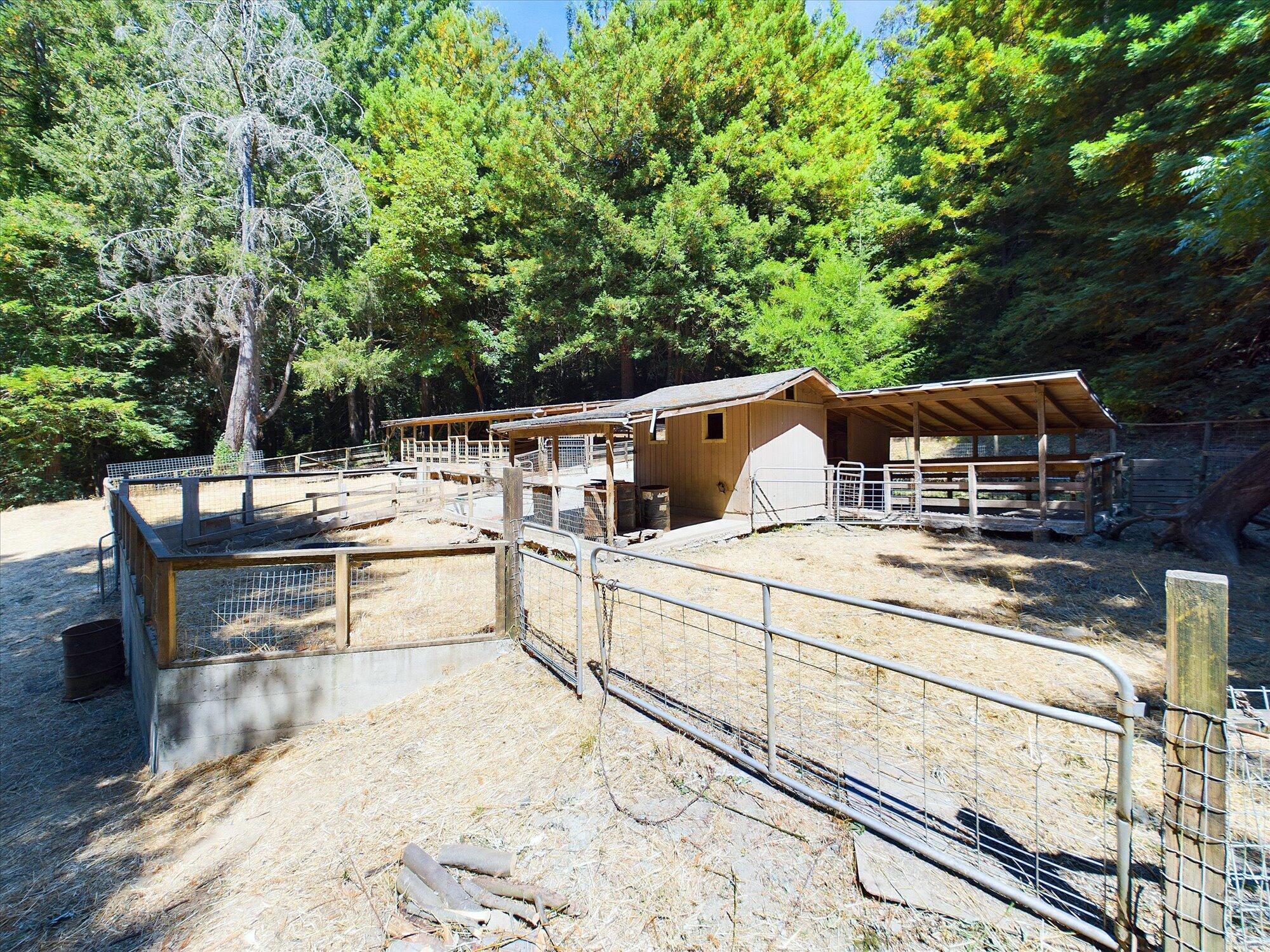 210 Madrone Road Weott, CA 95571 - Photo 74 of 81 Gallery Image 74