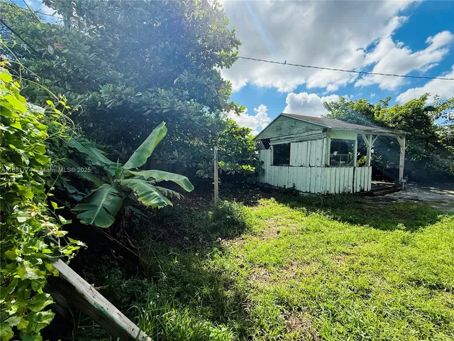 a view of a yard with plants and a large tree