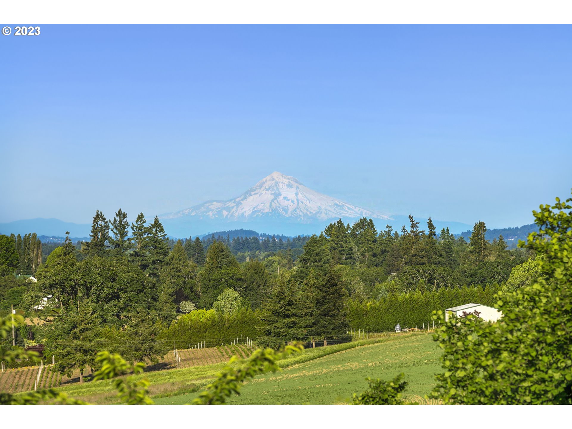 4185 Southwest Lafollett Road Cornelius, OR 97113 - Photo 3 of 45 a view of a city
