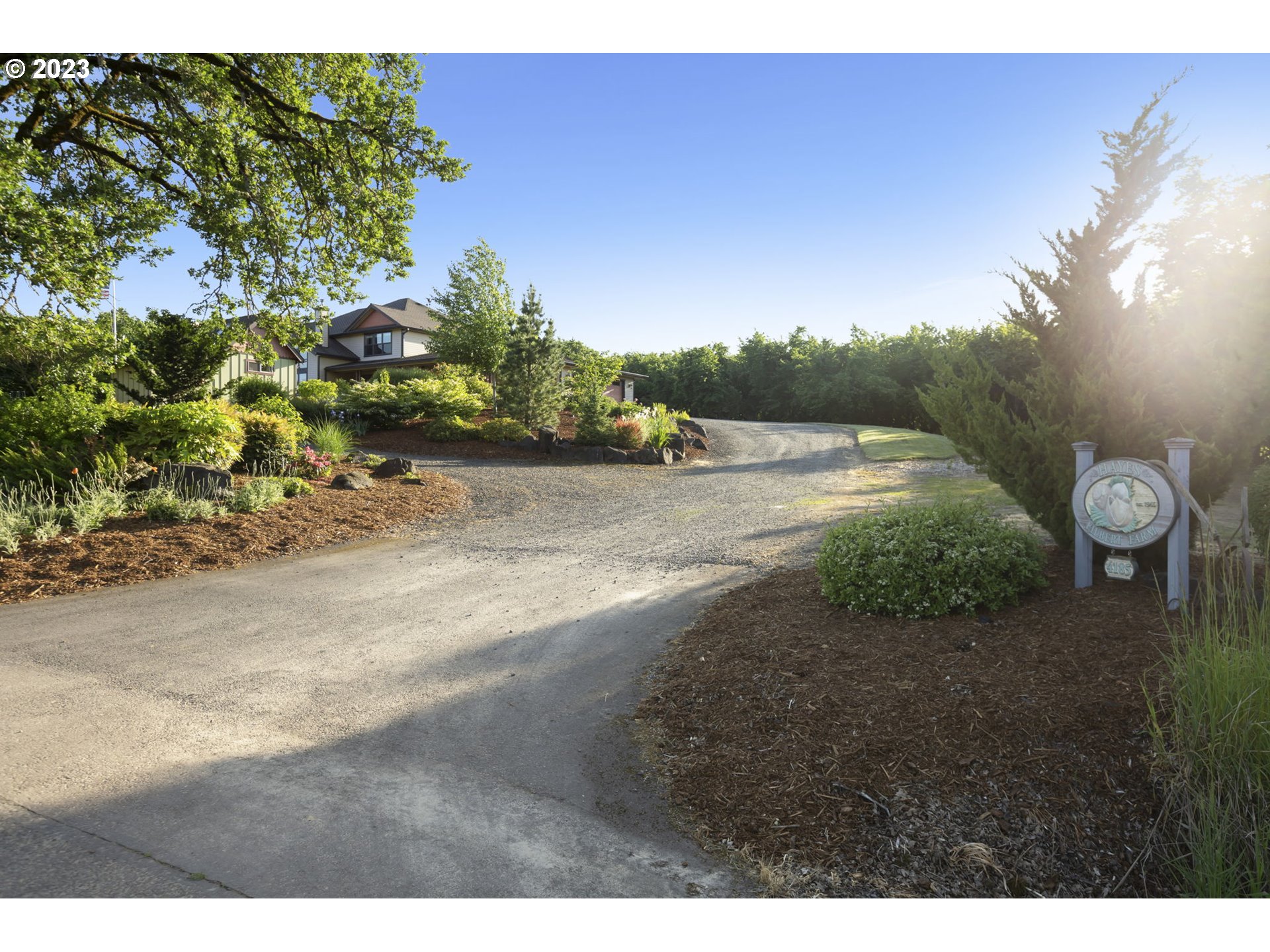 4185 Southwest Lafollett Road Cornelius, OR 97113 - Photo 34 of 45 a view of a dry yard with plants and a large tree