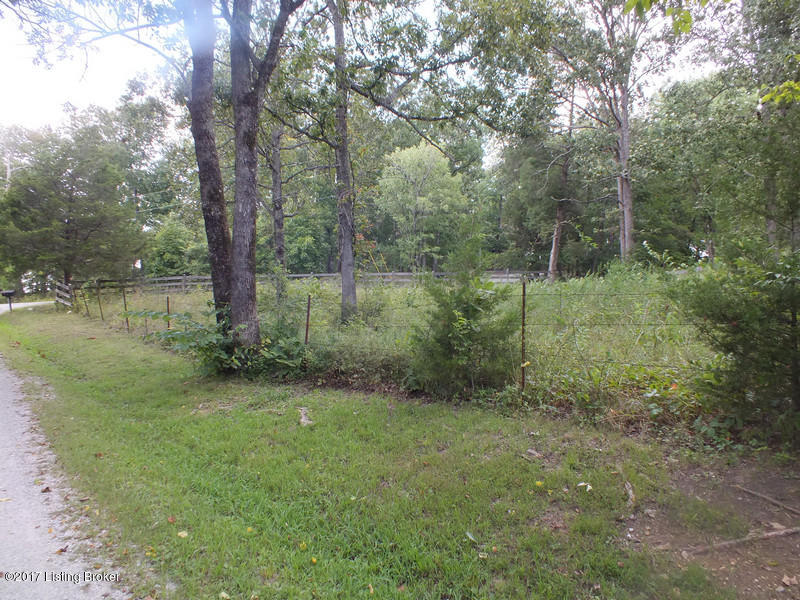 Lot 4 King Road Leitchfield, KY 42754 - Photo 3 of 4 Image15king rd