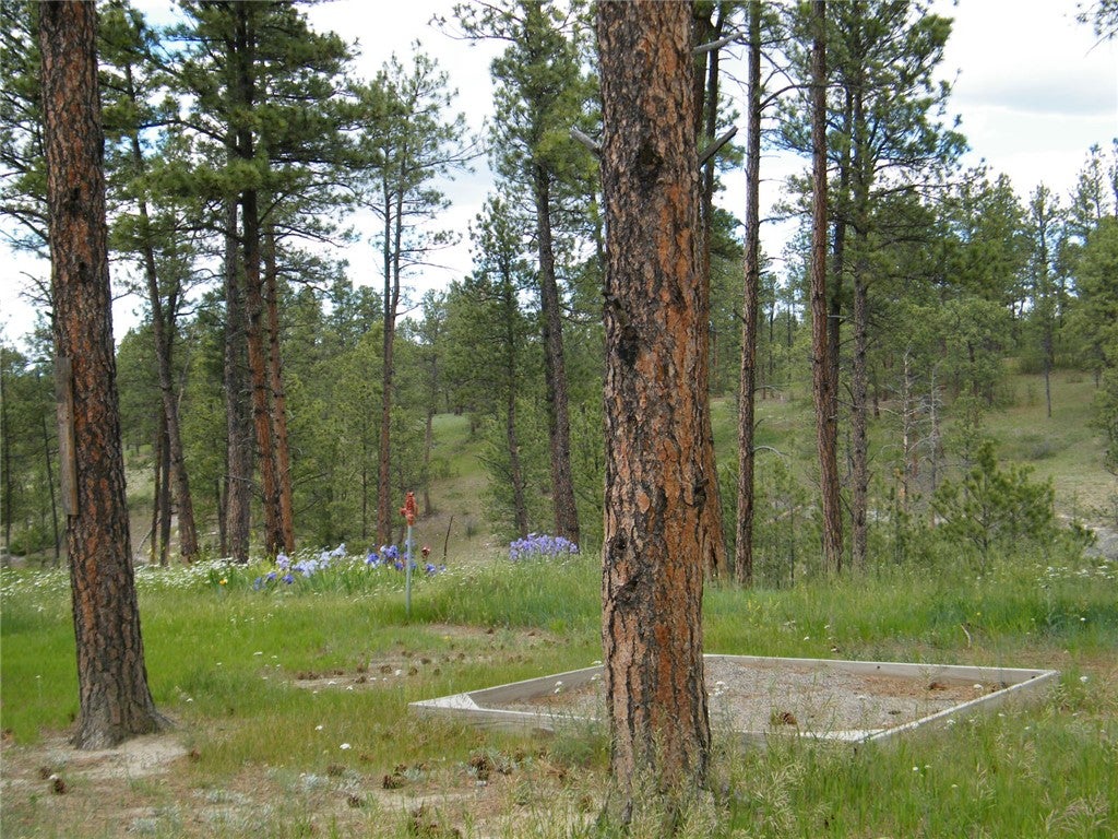 448 West Parrot Creek Road Roundup, MT 59072 - Photo 6 of 18 Gallery Image 6