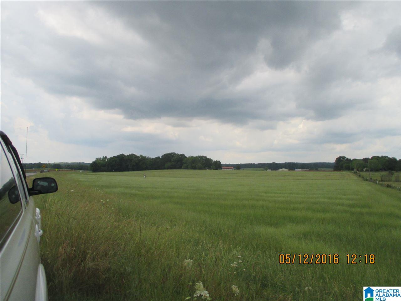0 Watson Road Cropwell, AL 35054 - Photo 2 of 5