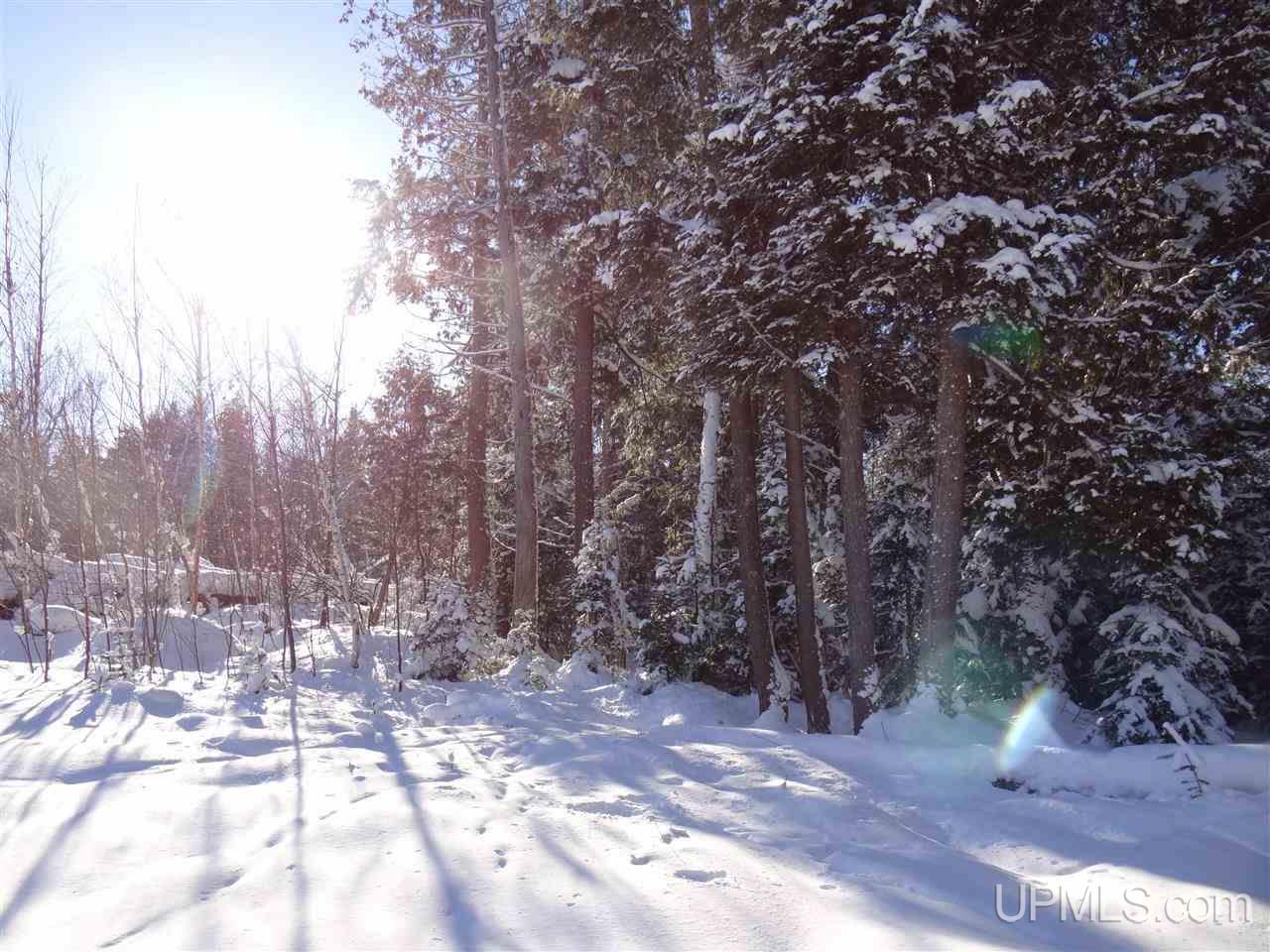 Tbd Irwin Road Baraga, MI 49908 - Photo 16 of 27