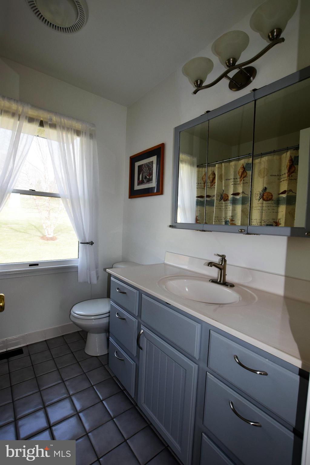 3217 Ady Road Street, MD 21154 - Photo 11 of 30 Bath (Master)