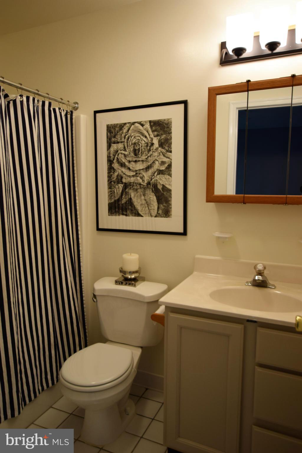 3217 Ady Road Street, MD 21154 - Photo 17 of 30 Bath