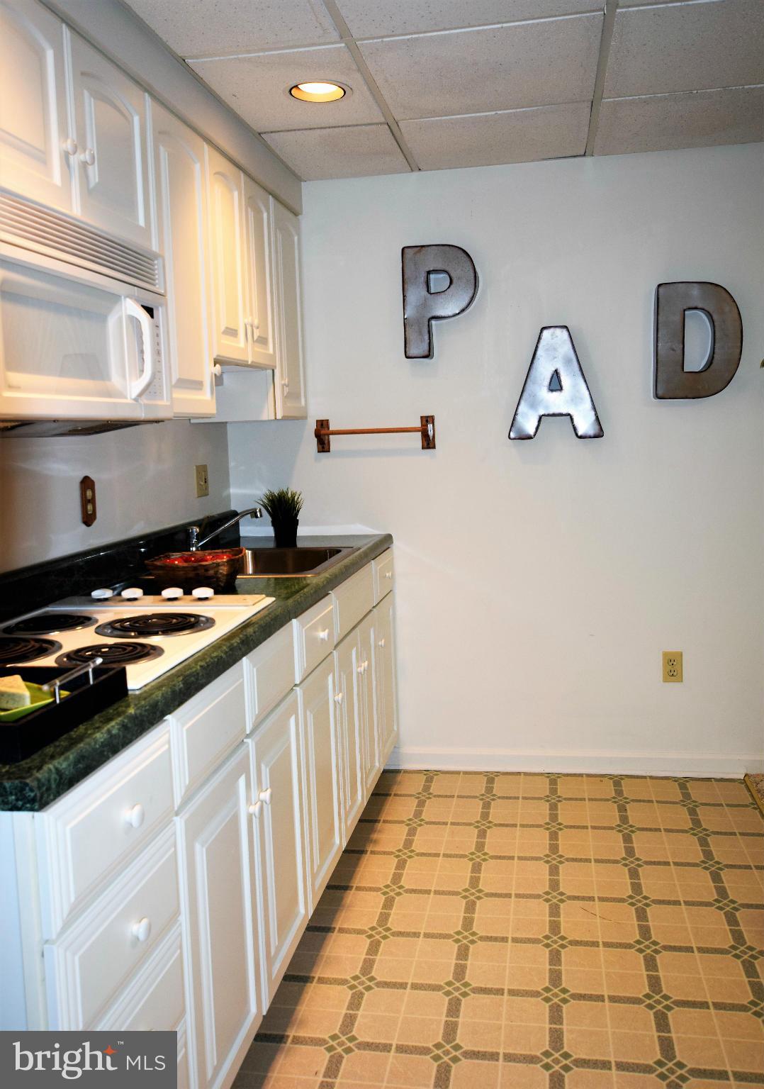 3217 Ady Road Street, MD 21154 - Photo 20 of 30 LL Second Kitchen