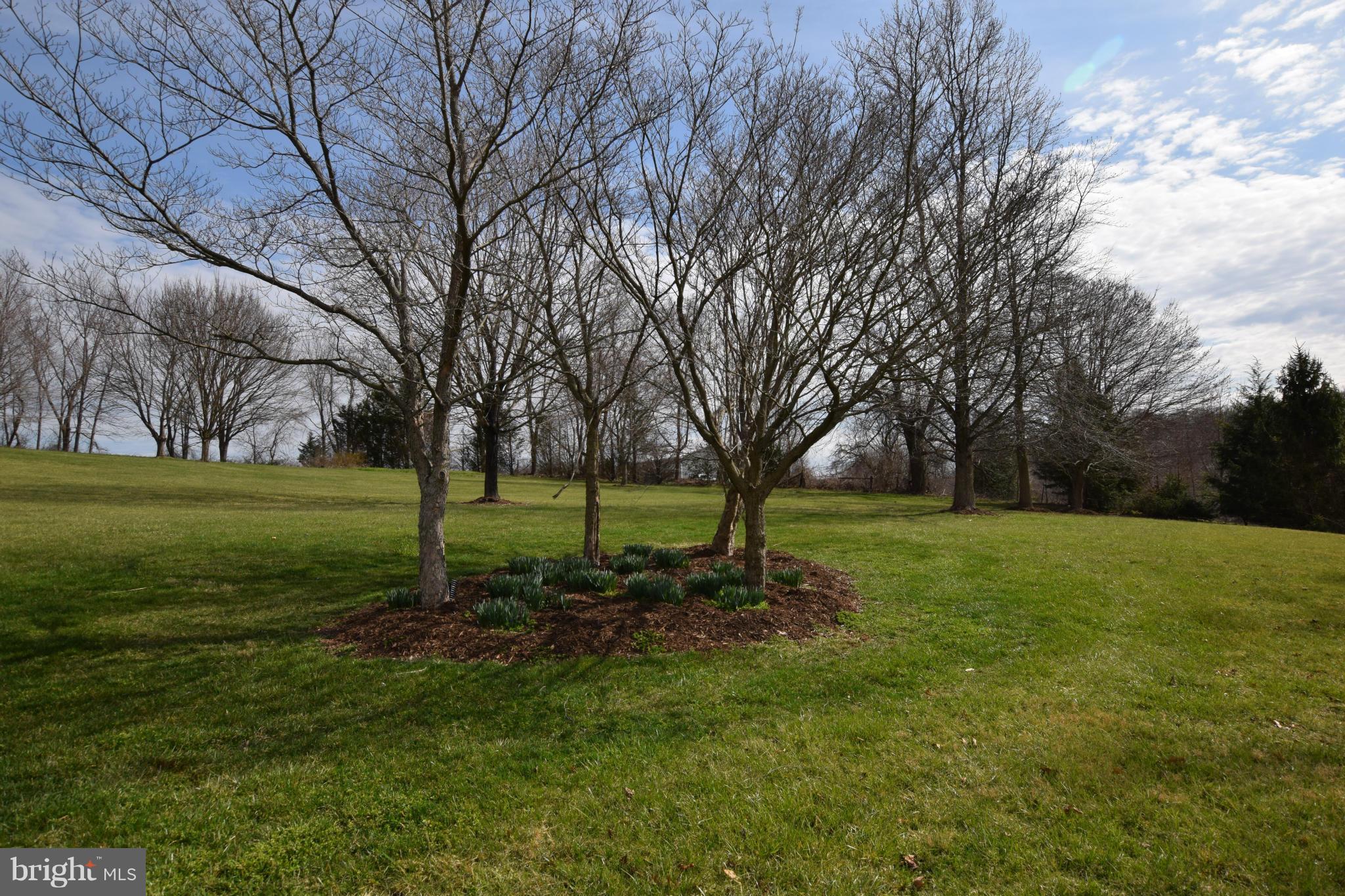 3217 Ady Road Street, MD 21154 - Photo 29 of 30 Exterior (Front)