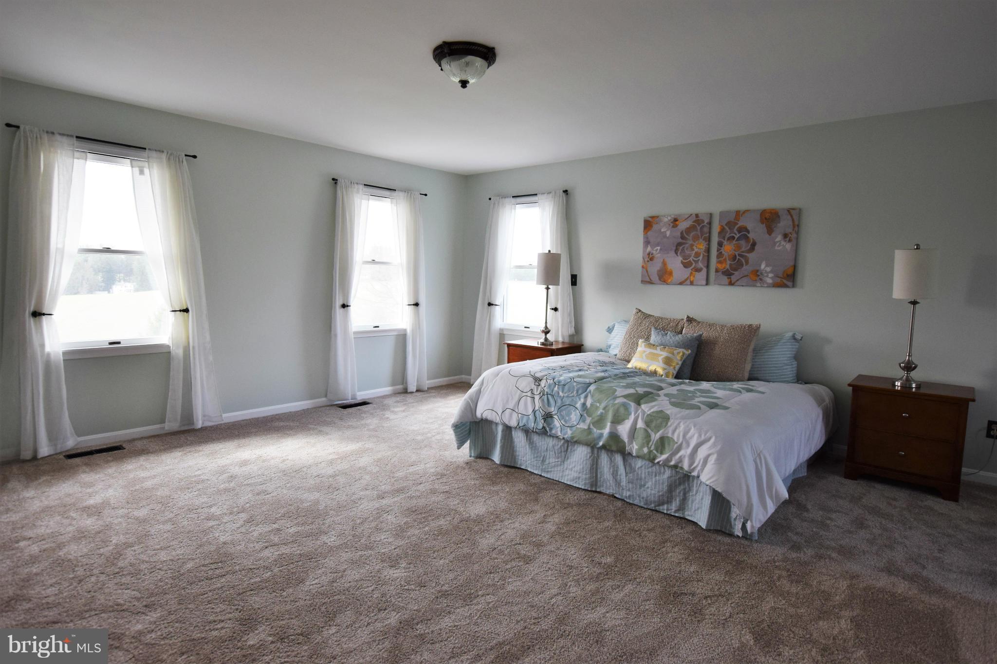 3217 Ady Road Street, MD 21154 - Photo 9 of 30 Bedroom (Master)