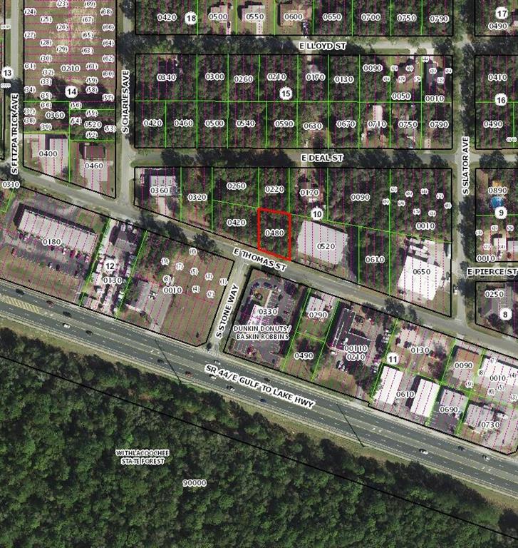 3081 East Thomas Street Inverness, FL 34453 - Photo 3 of 3