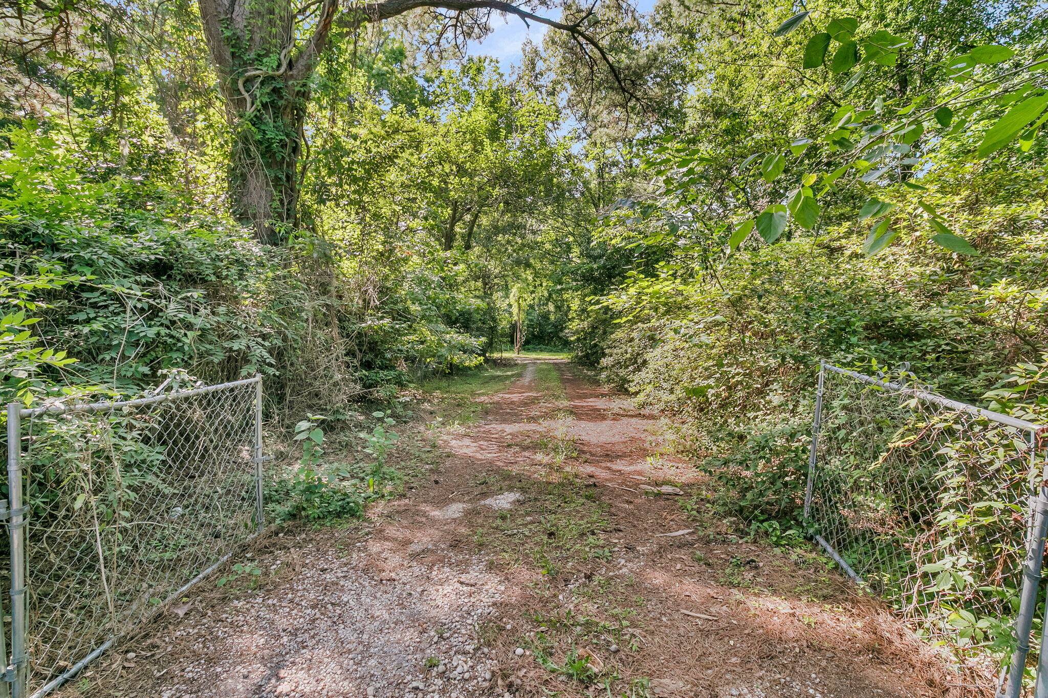 1724 Elm Road Charleston, SC 29414 - Photo 37 of 39 CREM - 1724 Elm Rd-1