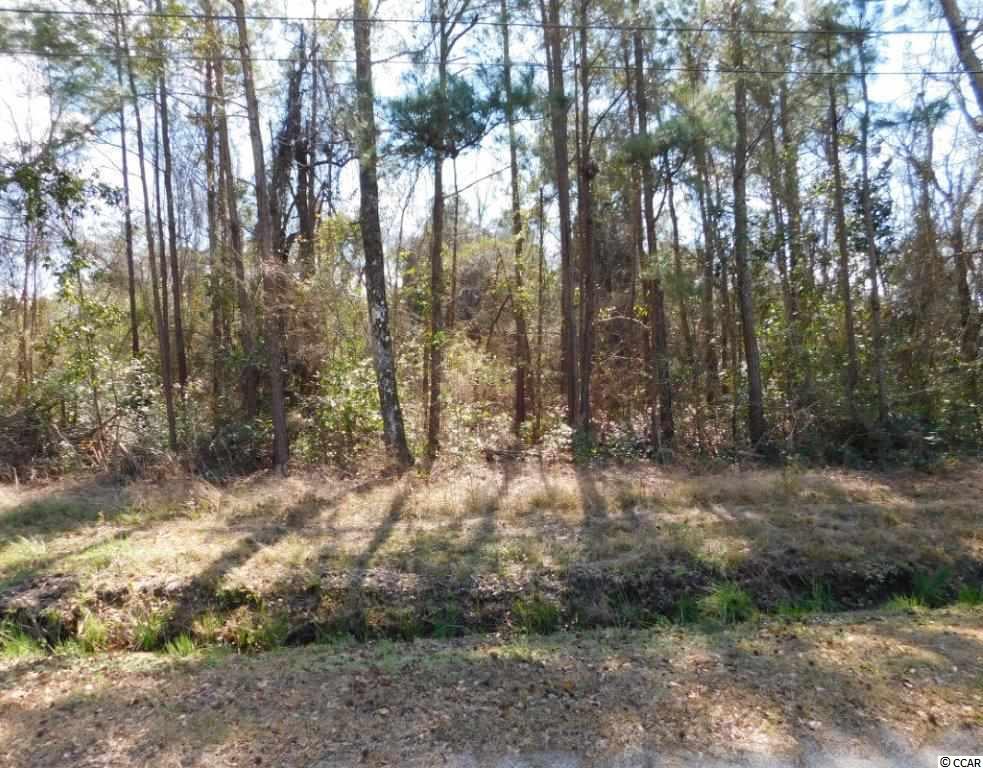 Tbd Tbd Blanton Street Loris, SC 29569 - Photo 1 of 4 Gallery Image 1
