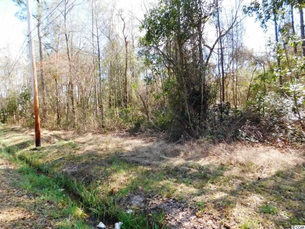 Tbd Tbd Blanton Street Loris, SC 29569 - Photo 2 of 4 Gallery Image 2