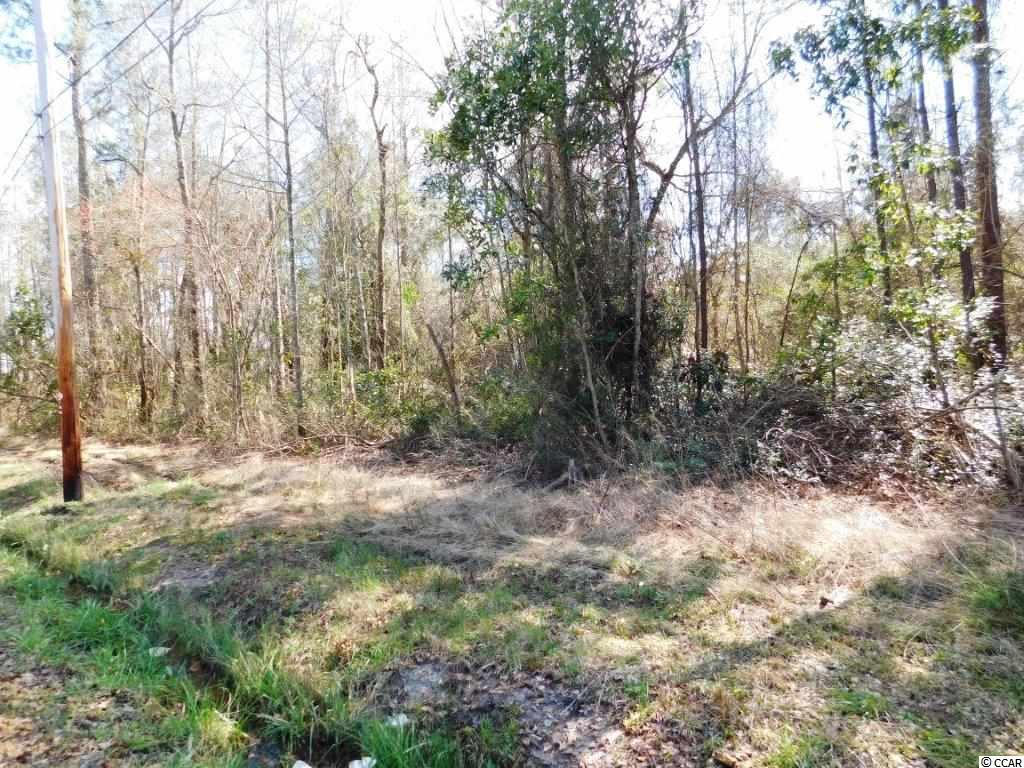 Tbd Tbd Blanton Street Loris, SC 29569 - Photo 3 of 4 Gallery Image 3