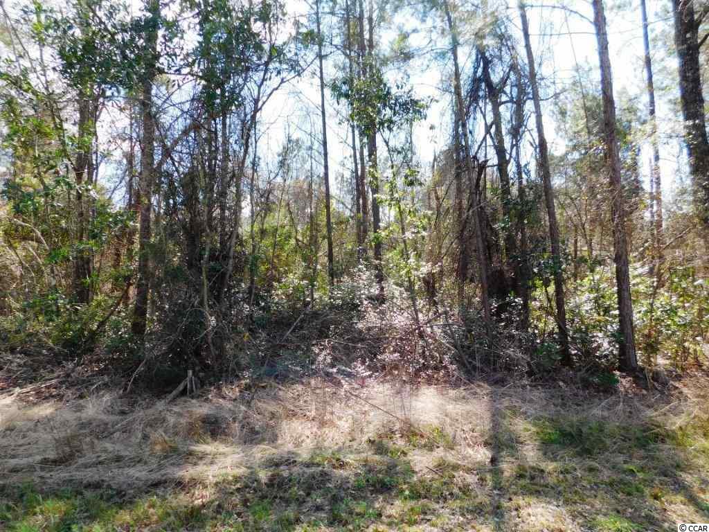 Tbd Tbd Blanton Street Loris, SC 29569 - Photo 4 of 4 Gallery Image 4