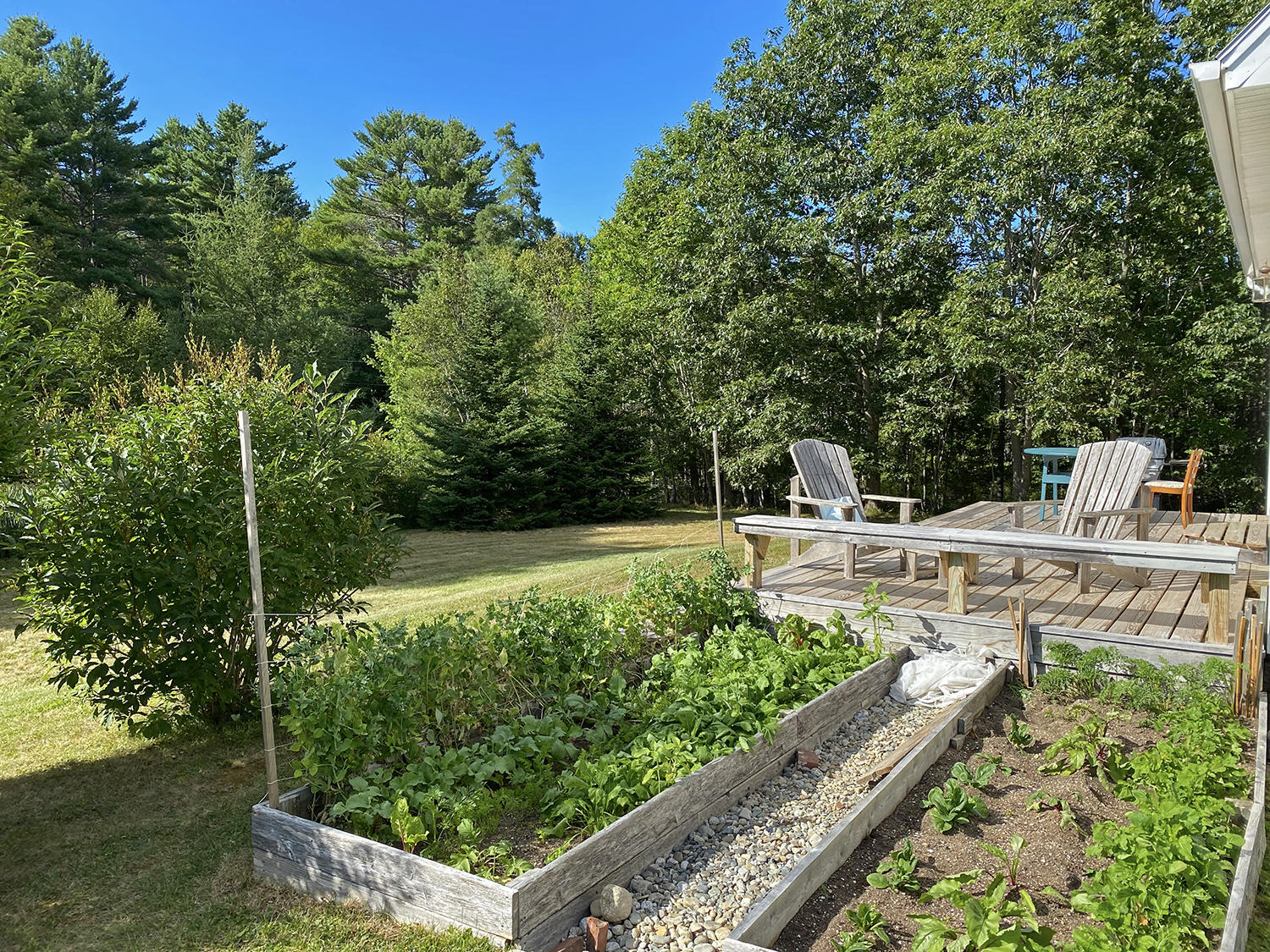 721 Morgan Bay Road Surry, ME 04684 - Photo 39 of 50 Copy of IMG_1797