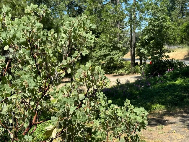 $220,000 | 53804 Highway 245, Miramonte, CA 93641