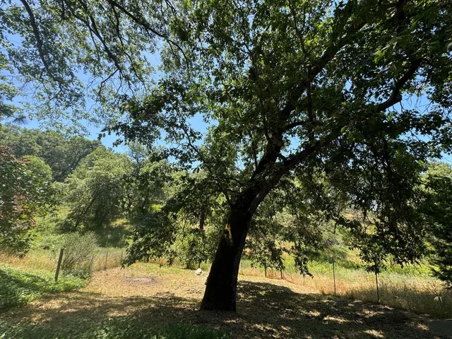 $220,000 | 53804 Highway 245, Miramonte, CA 93641