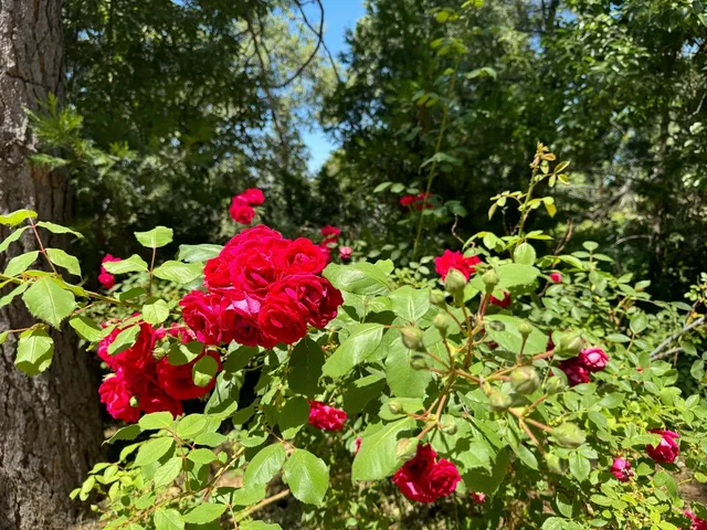 $220,000 | 53804 Highway 245, Miramonte, CA 93641