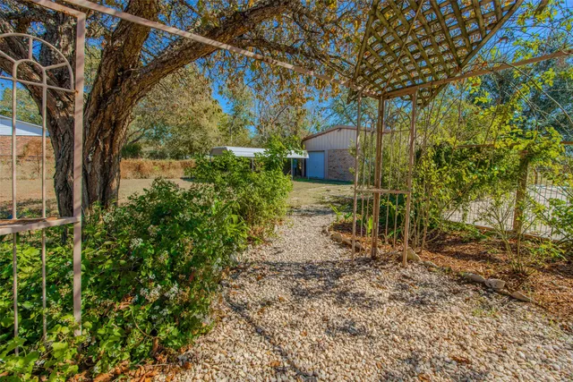 a view of a yard with plants and trees
