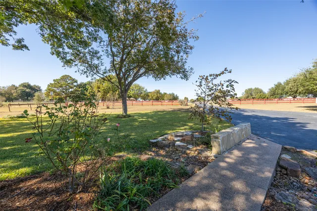 a view of yard with tree