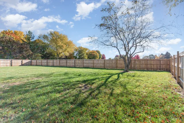 a view of yard with trees in the background
