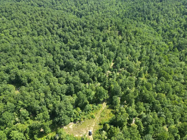 $2,287,636 | 0 Black Bear Trail, Linden, TN 37096
