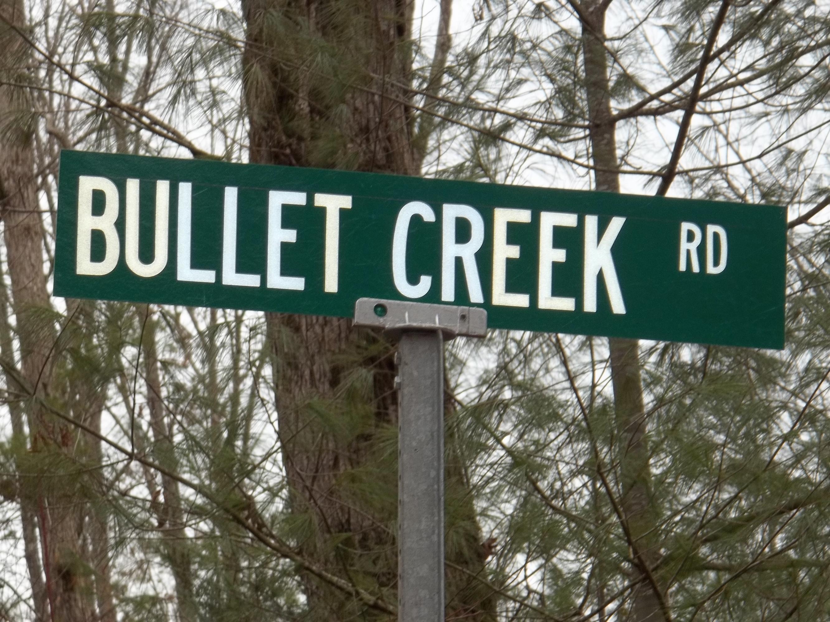 Bullet Creek Road, Unit 2139L Tellico Plains, TN 37369 - Photo 14 of 31 100_2257