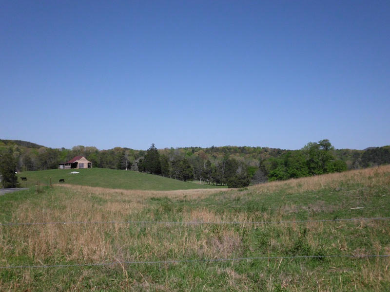 Bullet Creek Road, Unit 2139L Tellico Plains, TN 37369 - Photo 22 of 31 SANY0028