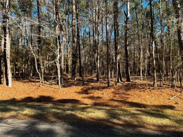 $19,700 | 55 Green Tree Drive, Coldspring, TX 77331
