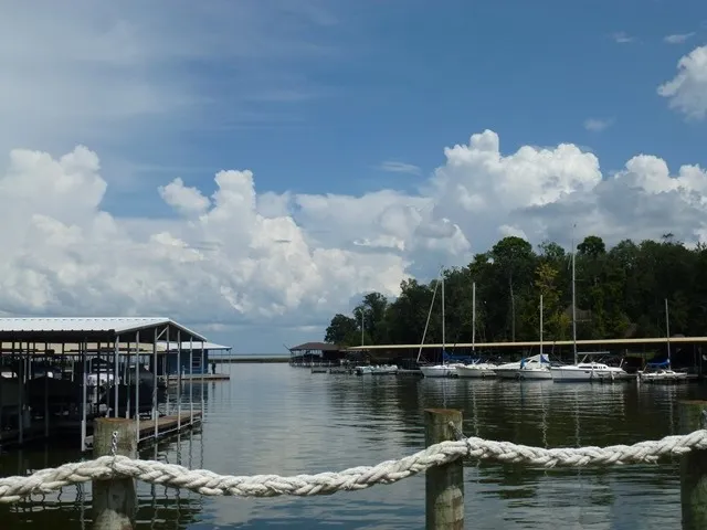 $23,000 | 55 Green Tree Drive, Coldspring, TX 77331