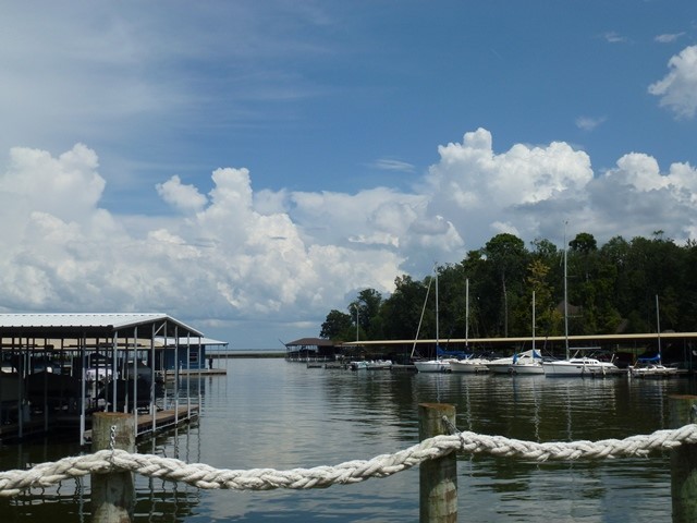 55 Green Tree Drive Coldspring, TX 77331 - Photo 14 of 16 Cape Royale marina